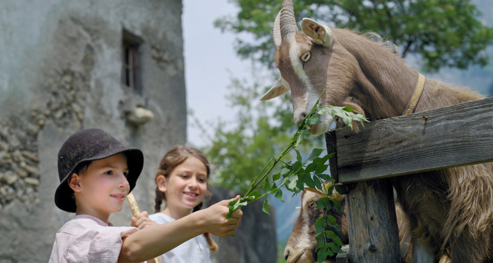 Peter und Heidi beim Geissen füttern