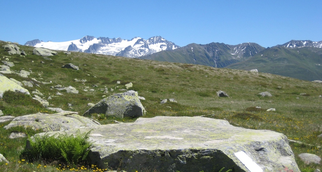 Hexenplatte mit Piz Medel im Sommer