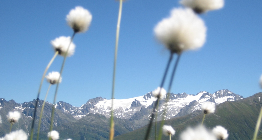 Alp Caschlé mizt Piz Medel