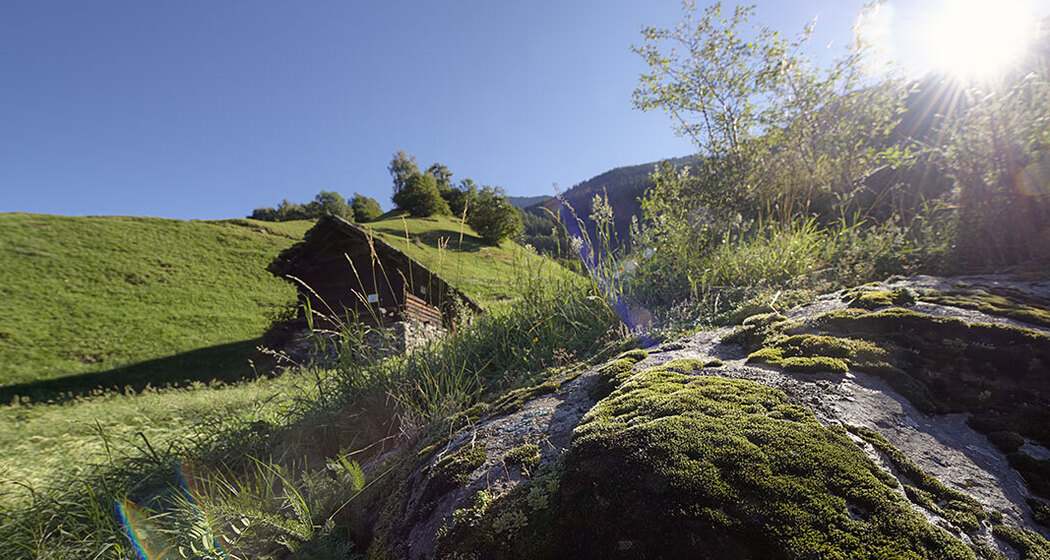 737 - Via Calanca (oua_17853460_image)