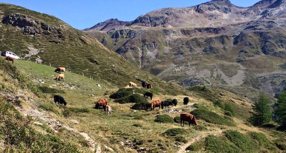 436 Poschiavino Trail (oua_18331617_image)