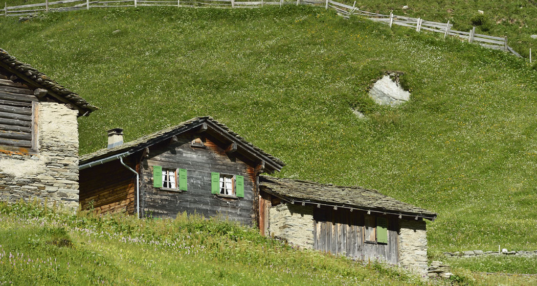 232 Peil (oua_18333728_image)