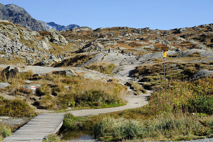 San Bernardino Pass (oua_18441949_image)