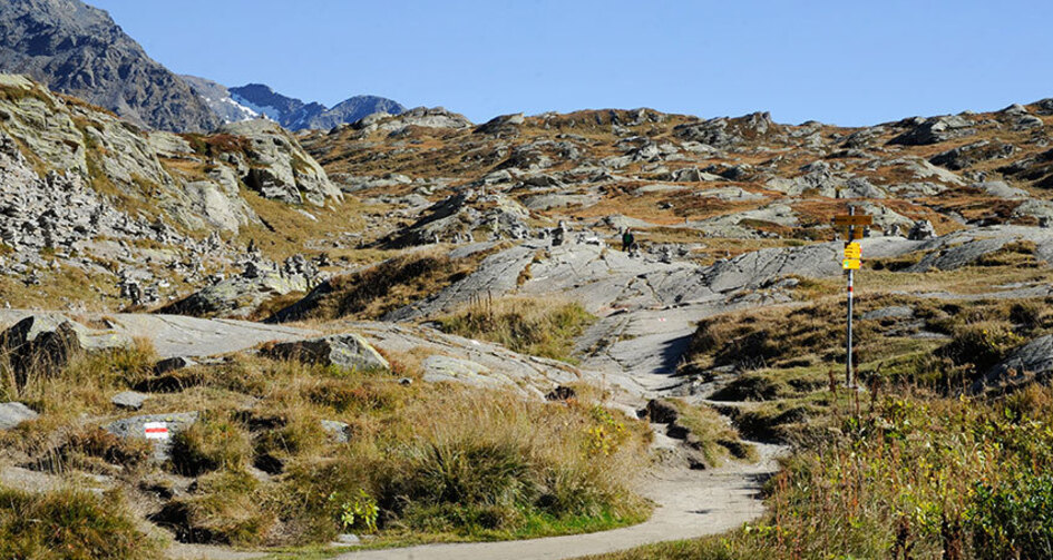 San Bernardino Pass (oua_18441949_image)