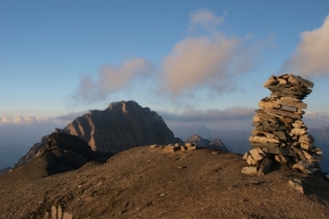 Faltschonhorn; Foto: Markus Schlegel