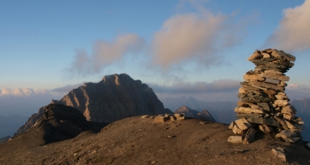 Faltschonhorn; Foto: Markus Schlegel