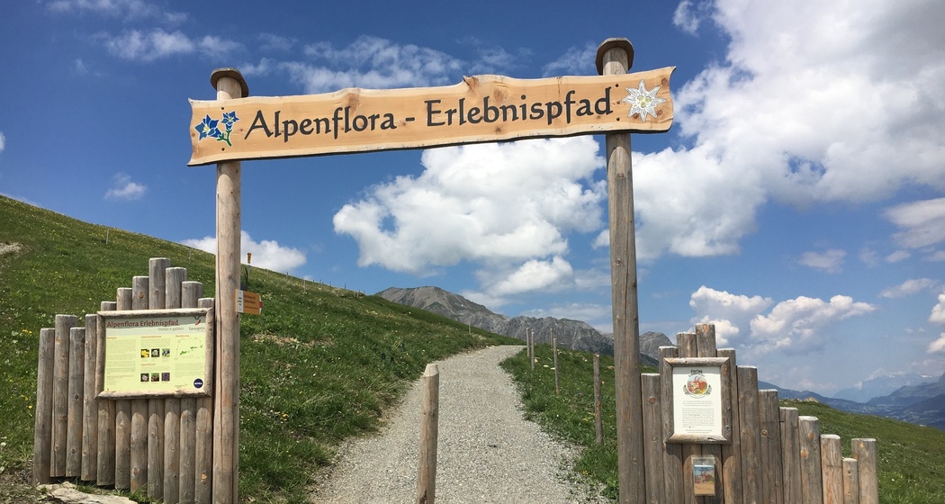 Alpenflora-Erlebnispfad