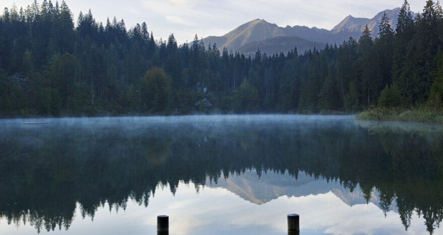 Fidaz - Trin Mulin - Crestasee - Flims (GRF) (oua_1903493_image)