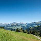 Blick vom Heuberg in Richtung Rätikon