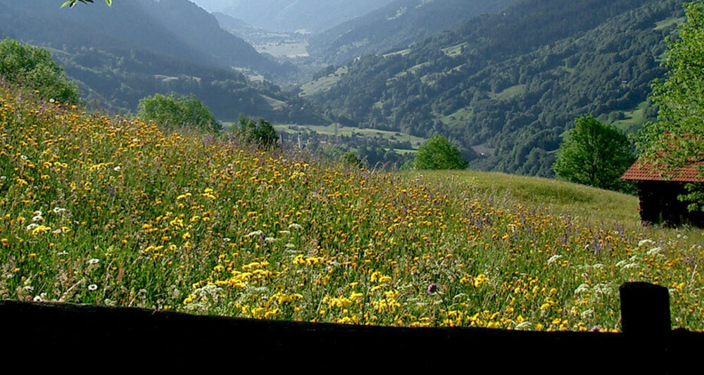 Blick von Plävigin Richtung Klosters