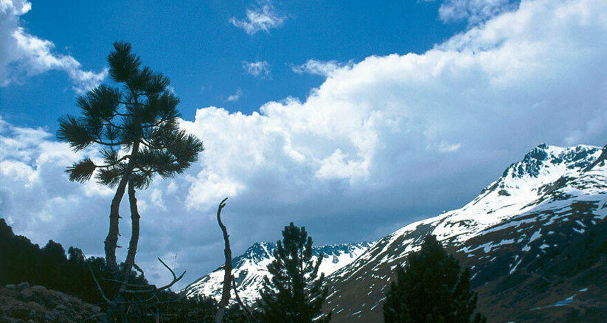 Scuol – S-charl – Süsom Givè (oua_1959897_image)