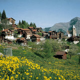 Tschiertschen – Ochsenalp – Arosa (oua_1959899_image)