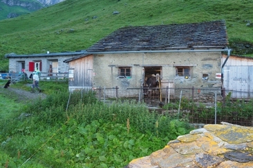 Wallatsch Alp; Foto: Markus Schlegel