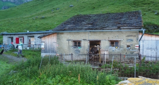 Wallatsch Alp; Foto: Markus Schlegel