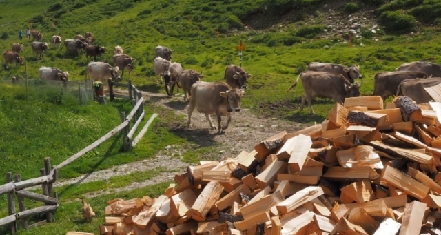 Alp Selva; Foto: Markus Schlegel