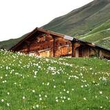 277 Valcaus (oua_1978653_image)