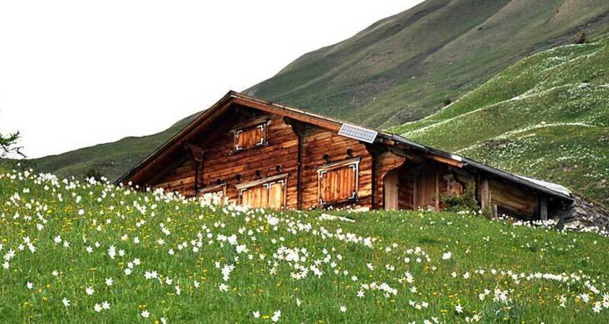 277 Valcaus (oua_1978653_image)