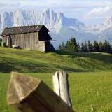 278 Danusa (oua_1978654_image)