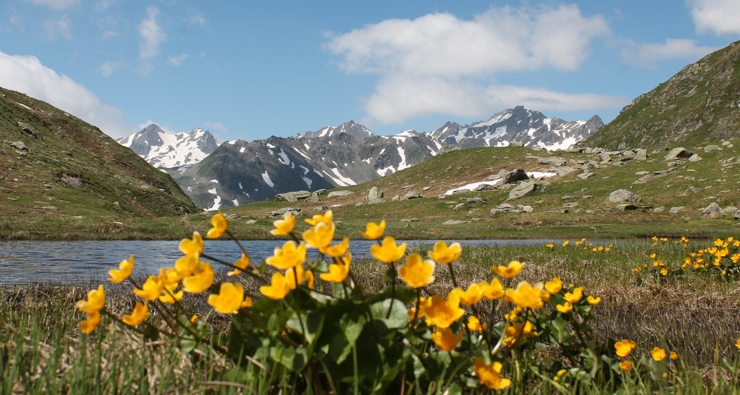 Auf dem Lolenpass