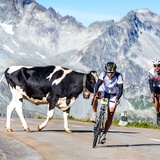 Teilnehmer der Alpen Challenge am Albulapass.