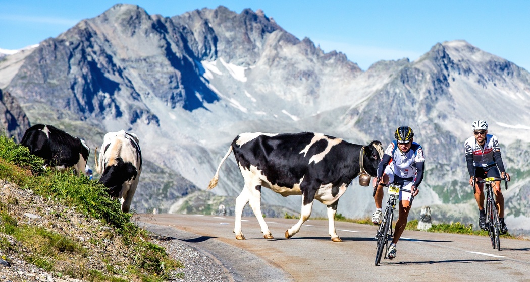 Teilnehmer der Alpen Challenge am Albulapass.
