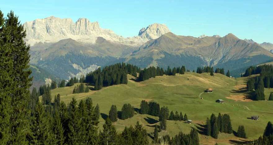 325 Furna - Trimmiser Alp (oua_2015772_image)