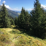 Boucle de montagne de Trun (oua_20182883_image)