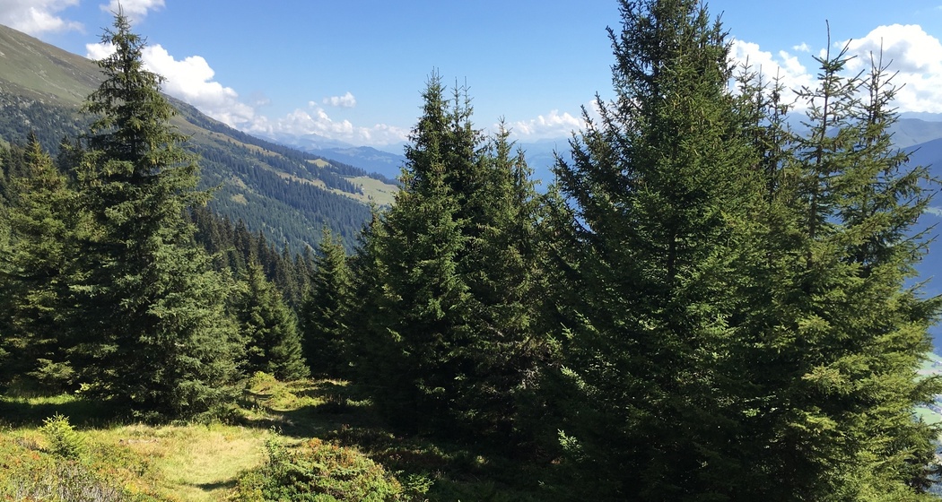 Trun Bergrunde (oua_20182883_image)