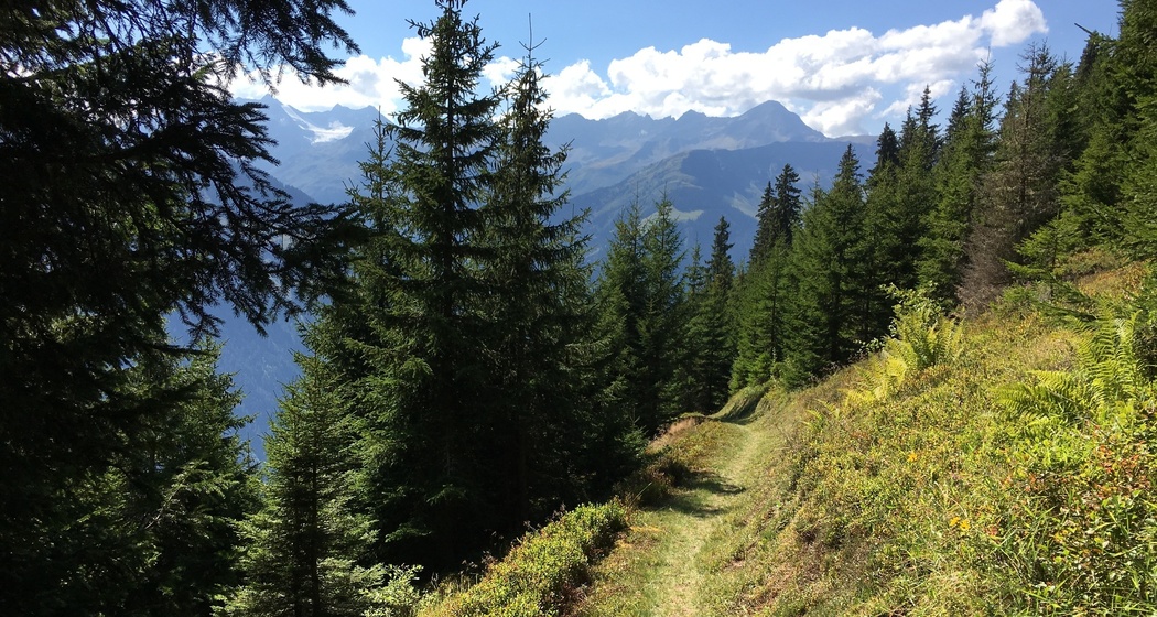 Trun Bergrunde (oua_20182885_image)