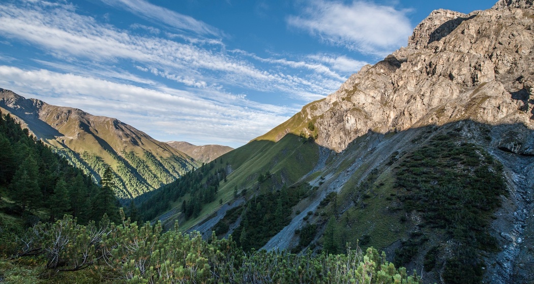 Im Aufstieg durch die Legföhrengürtel in der Val Müschauns