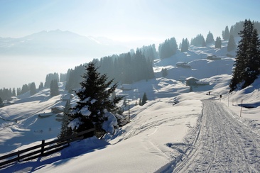 Unterwegs zwischen St. Antönien und Pany