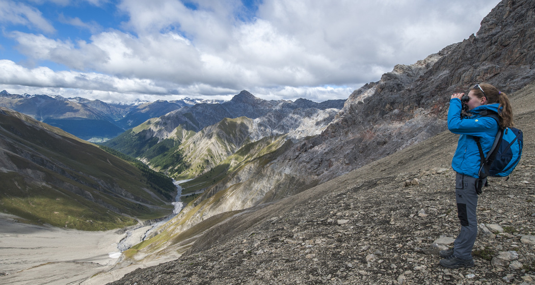 Im Abstieg von der Fuorcla Trupchun aus lassen sich im Sommer immer wieder Rothirsche und Steinböcke beobachten.