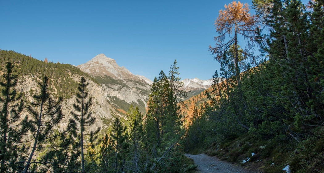 Der Weg schlängelt sich von La Drossa dem Hang entlang Richtung Alp la Schera. Im Hintergrund der Piz dal Fuorn.