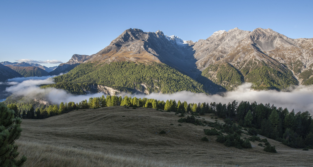 Morgendliche Nebelschwaden auf Alp la Schera. Links hinten befindet sich das italienische Livigno.