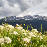 Pirigen-Blackter Fürggli