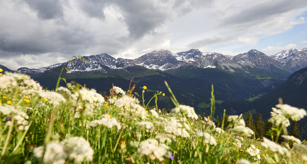 Pirigen-Blackter Fürggli