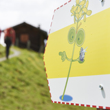 Segnavia Glückstrail