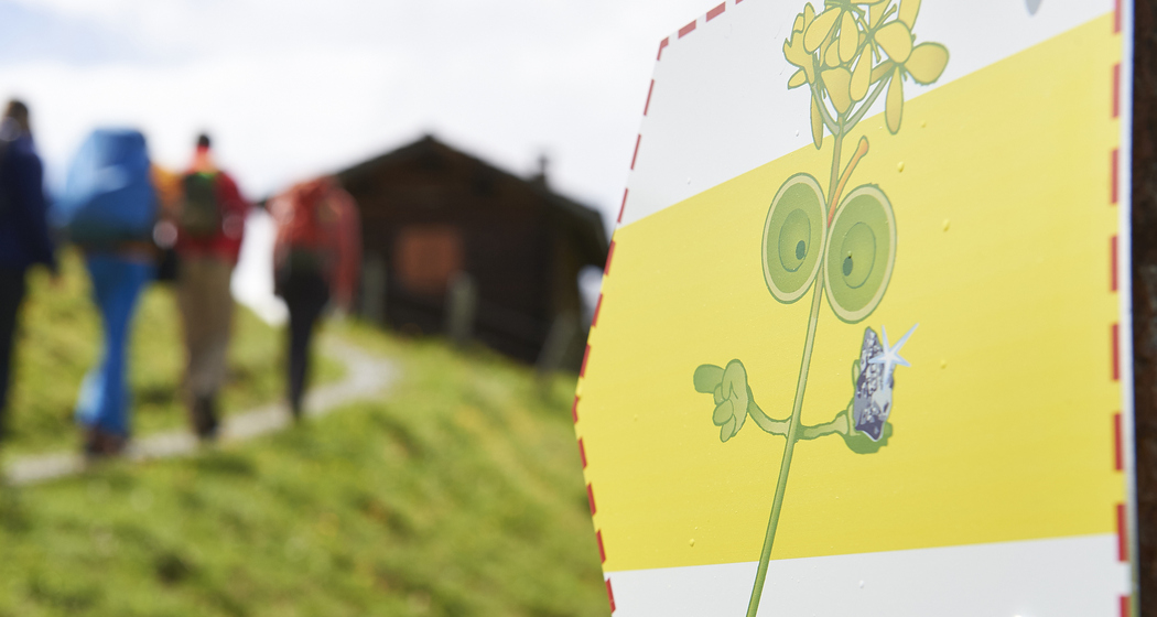 Glückstrail Wegweiser