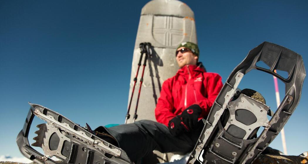 Beim Dreibündenstein