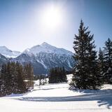 Rennloipe La Pala mit Lenzerhorn im Hintergrund