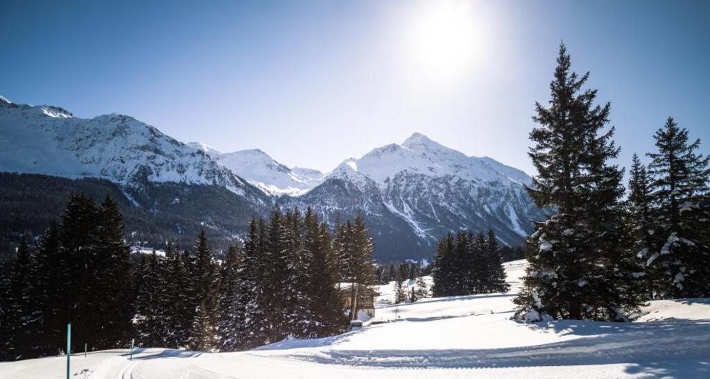 Rennloipe La Pala mit Lenzerhorn im Hintergrund