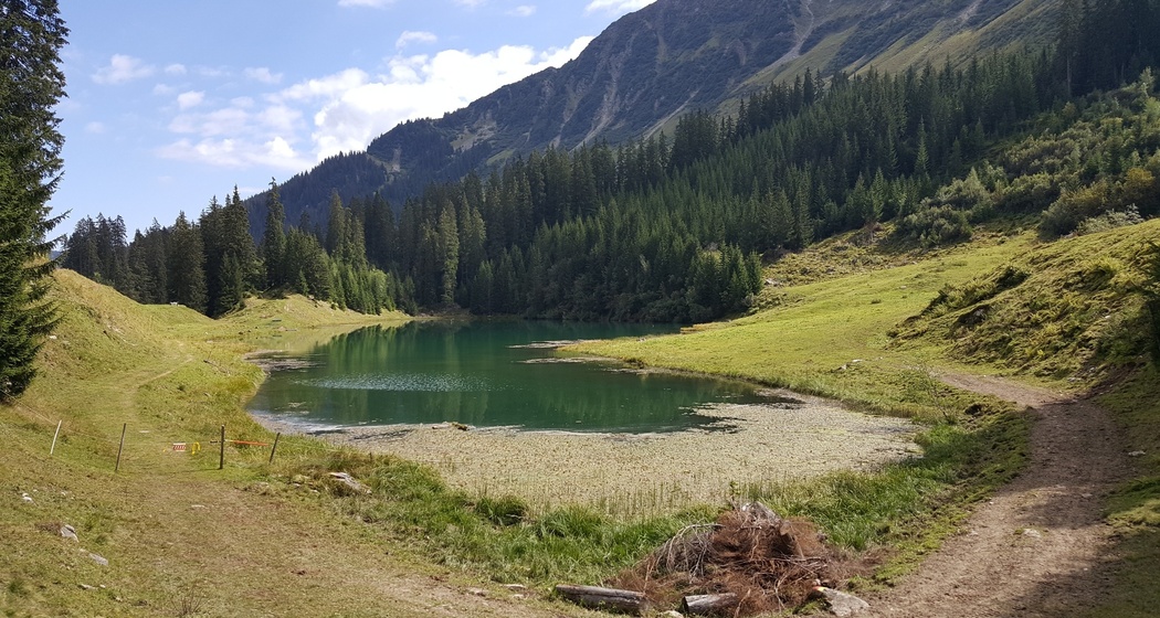 Lag da Laus eingebettet in Wiesen und Wälder