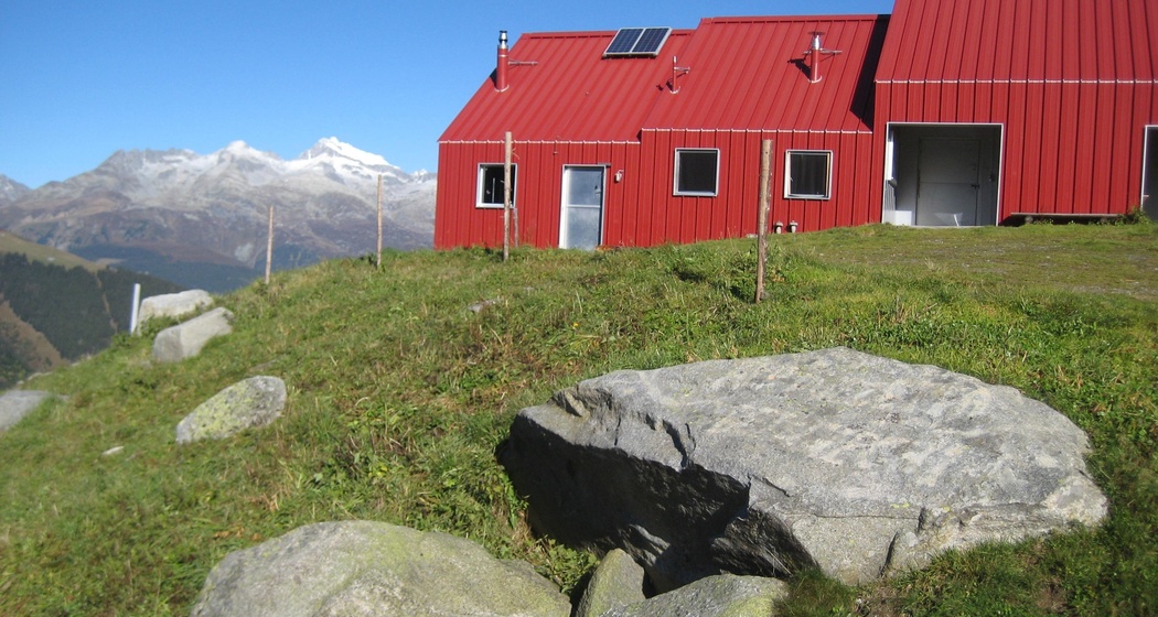 Rot auf grün - Alp Puzzetta