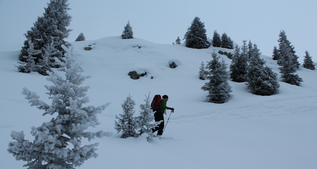 Bei der Alp Crap Ner Sut noch im Nebel