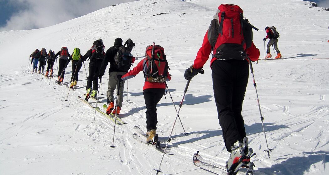 402 - Einshorn (oua_21358770_image)