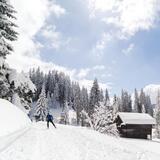 Langlaufen in Parpan