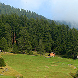 oua (21576847)