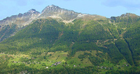 oua (21576849)