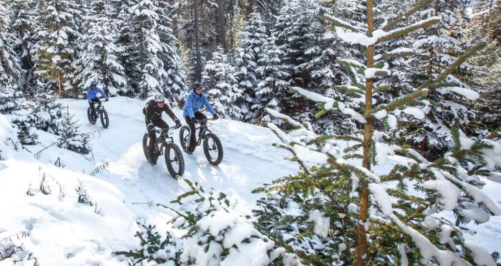 Fatbike Tour Lenzerheide