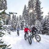 Fatbike Tour Lenzerheide